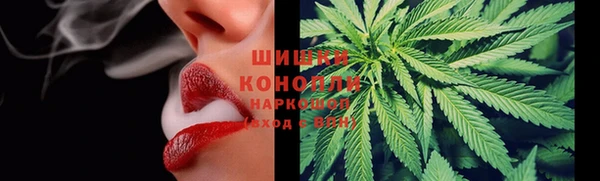 ГАЛЛЮЦИНОГЕННЫЕ ГРИБЫ Балахна